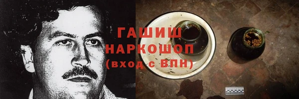 гашик Янаул