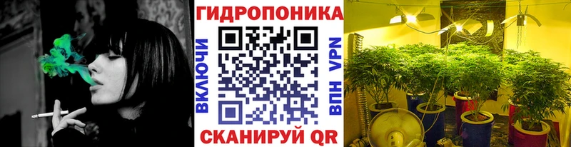 Купить где  Скопин  Бошки марихуана Bruce Banner 